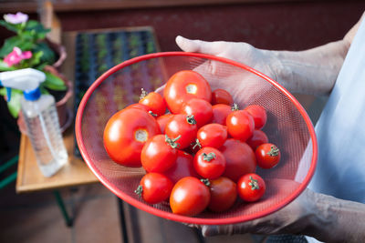 Midsection of man holding tomatoes in basket