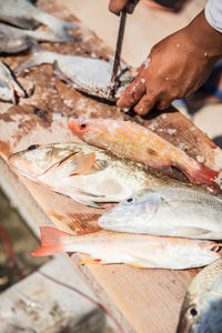 Close-up of hand holding fish for sale in market