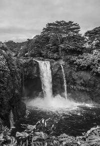 Scenic view of waterfall in forest