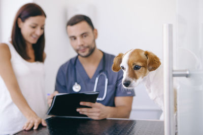 Veterinarian explaining to pet owner while looking at puppy in hospital