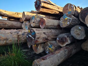 Stack of logs on field