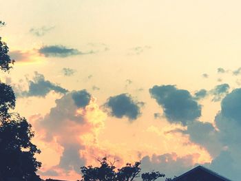 Low angle view of silhouette trees against sky