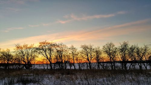 Silhouette trees on landscape against dramatic sky