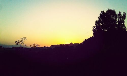 Silhouette of trees at sunset