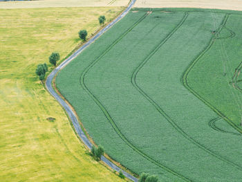 High angle view of agricultural field