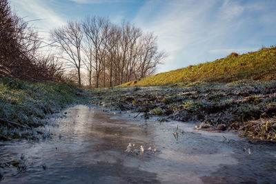 River flowing amidst bare trees against sky