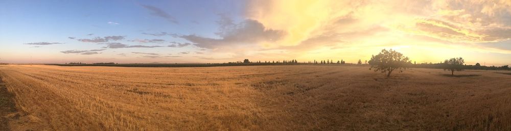 Panoramic view of field against sky during sunset