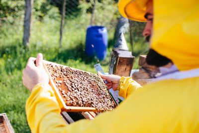 Close-up of bee on the hand