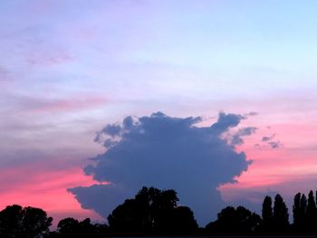 Low angle view of silhouette trees against sky during sunset