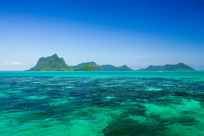 Scenic view of sea against clear blue sky