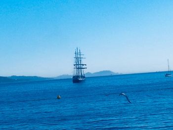 Sailboat sailing on sea against clear sky