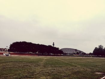 Trees on field against cloudy sky