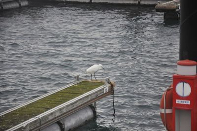 Bird perching by sea