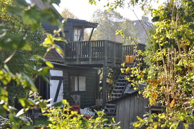 Houses and plants by building