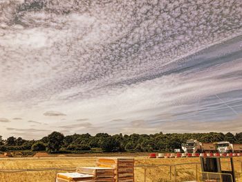 Trees on landscape against sky