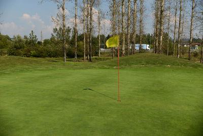 Flag by hole on golf turf