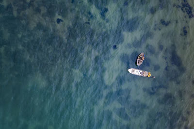 High angle view of bird flying over sea