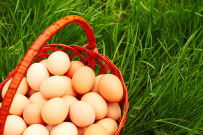 Close-up of brown eggs in basket