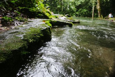 Scenic view of waterfall