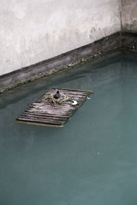 High angle view of boat in water