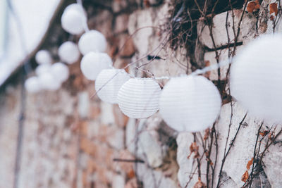 Close-up of white lanterns on wall