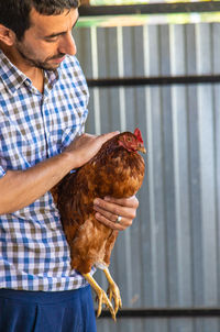 Side view of man feeding chicken