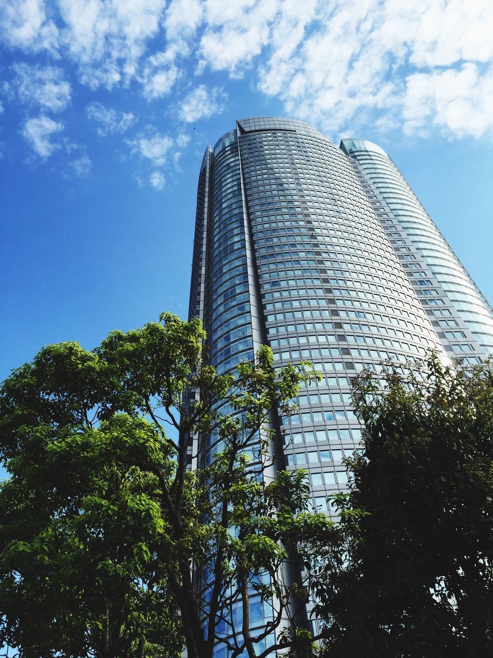 low angle view, building exterior, architecture, built structure, tree, sky, modern, tall - high, office building, skyscraper, growth, tower, glass - material, city, building, day, cloud, cloud - sky, tall, outdoors