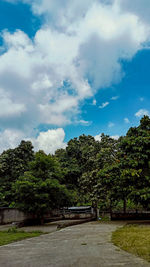 Trees by plants against sky