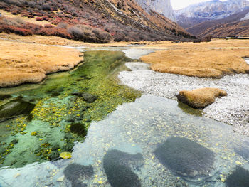 Scenic view of stream flowing through rocks