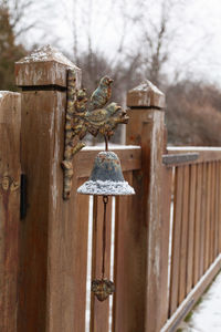Close-up of bird on wooden post