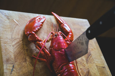 High angle view of lobster on table