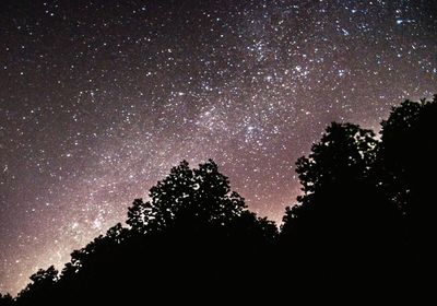 Low angle view of silhouette trees against sky at night