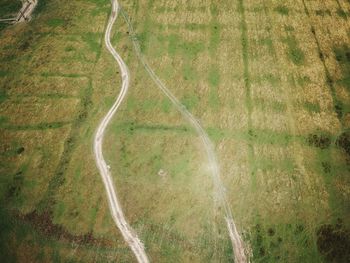 High angle view of agricultural field