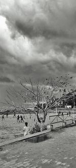 Flock of birds flying against sky