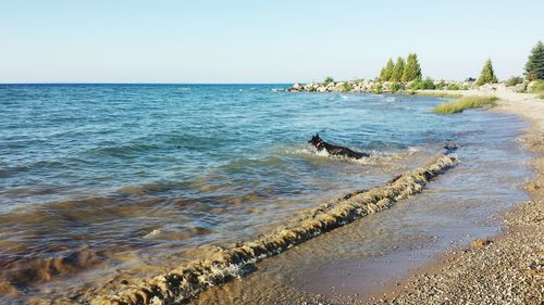 Scenic view of sea against clear sky