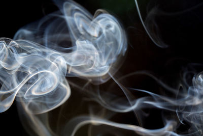 Close-up of jellyfish against black background