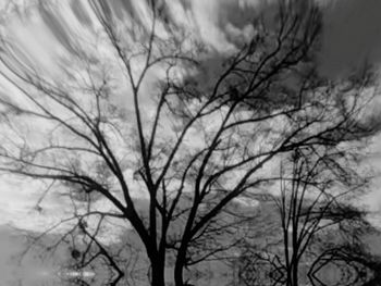 Low angle view of bare tree against sky