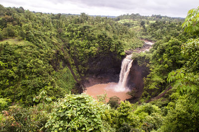 Scenic view of waterfall in forest