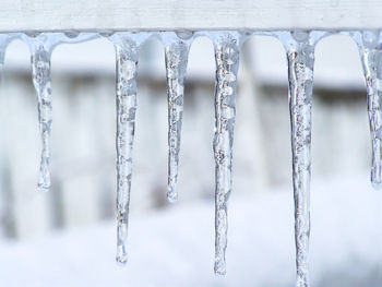 Close-up of icicles