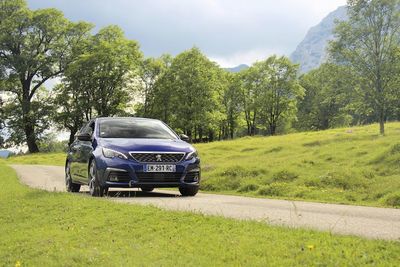 Car on road against trees