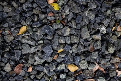 Full frame shot of pebbles