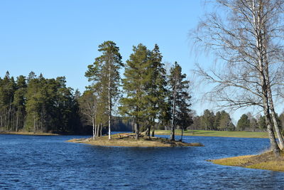 Scenic view of river amidst trees against clear sky