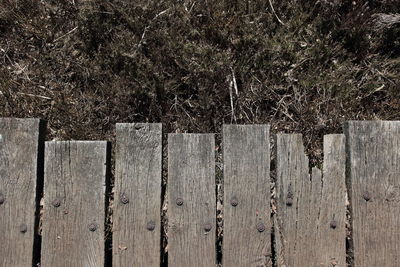 Full frame shot of wooden wall