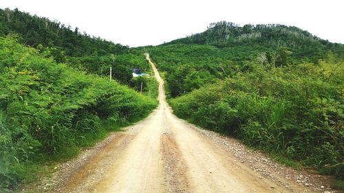 Road amidst green landscape against sky