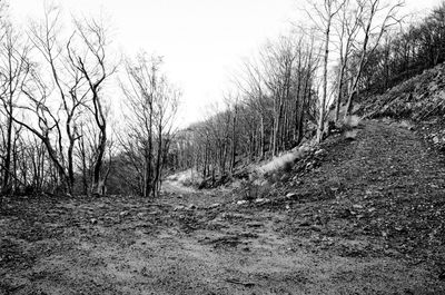 Bare trees on landscape against sky