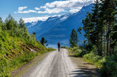 Rear view of person on road amidst trees