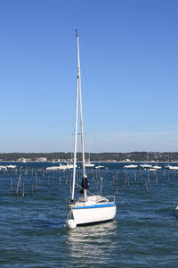 Sailboat in calm sea