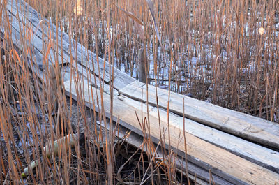 Snow on ground during winter