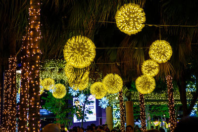 Low angle view of illuminated lanterns hanging on tree