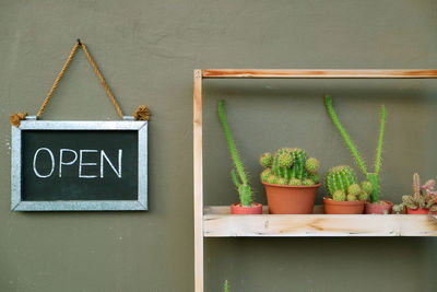 Close-up of potted plant hanging on wall